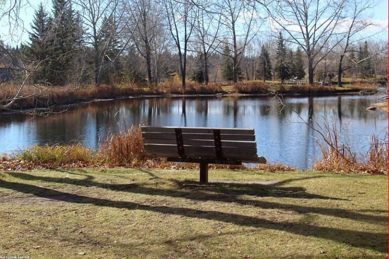 featured 1322 relax nature